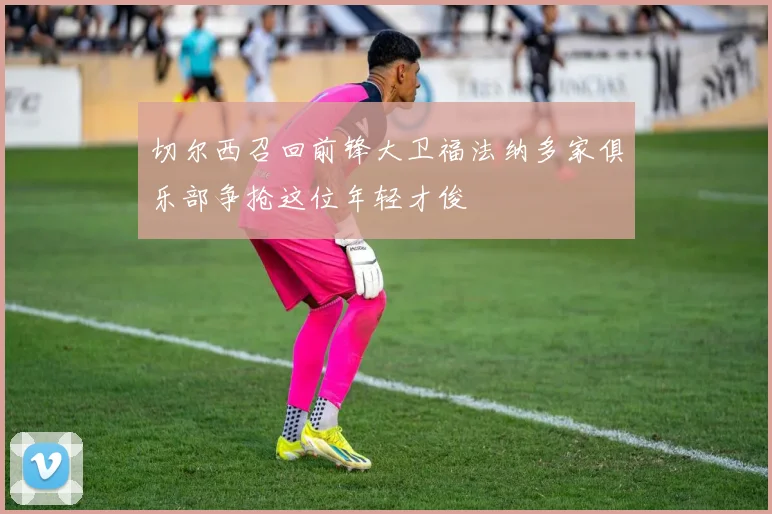 切尔西召回前锋大卫福法纳多家俱乐部争抢这位年轻才俊